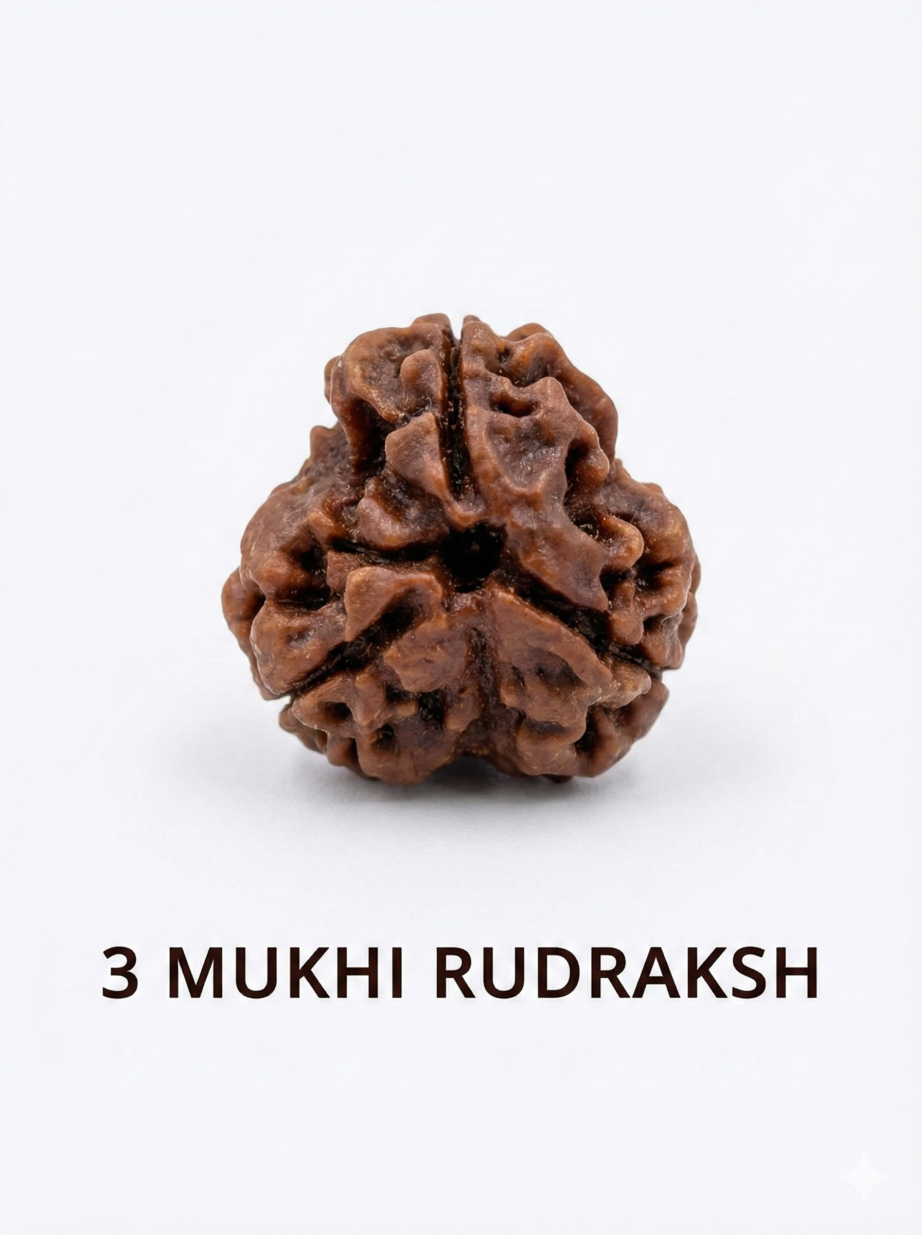 3 Mukhi Rudraksha: Benefits, Significance, Mantra, Wearing Method & Complete Guide