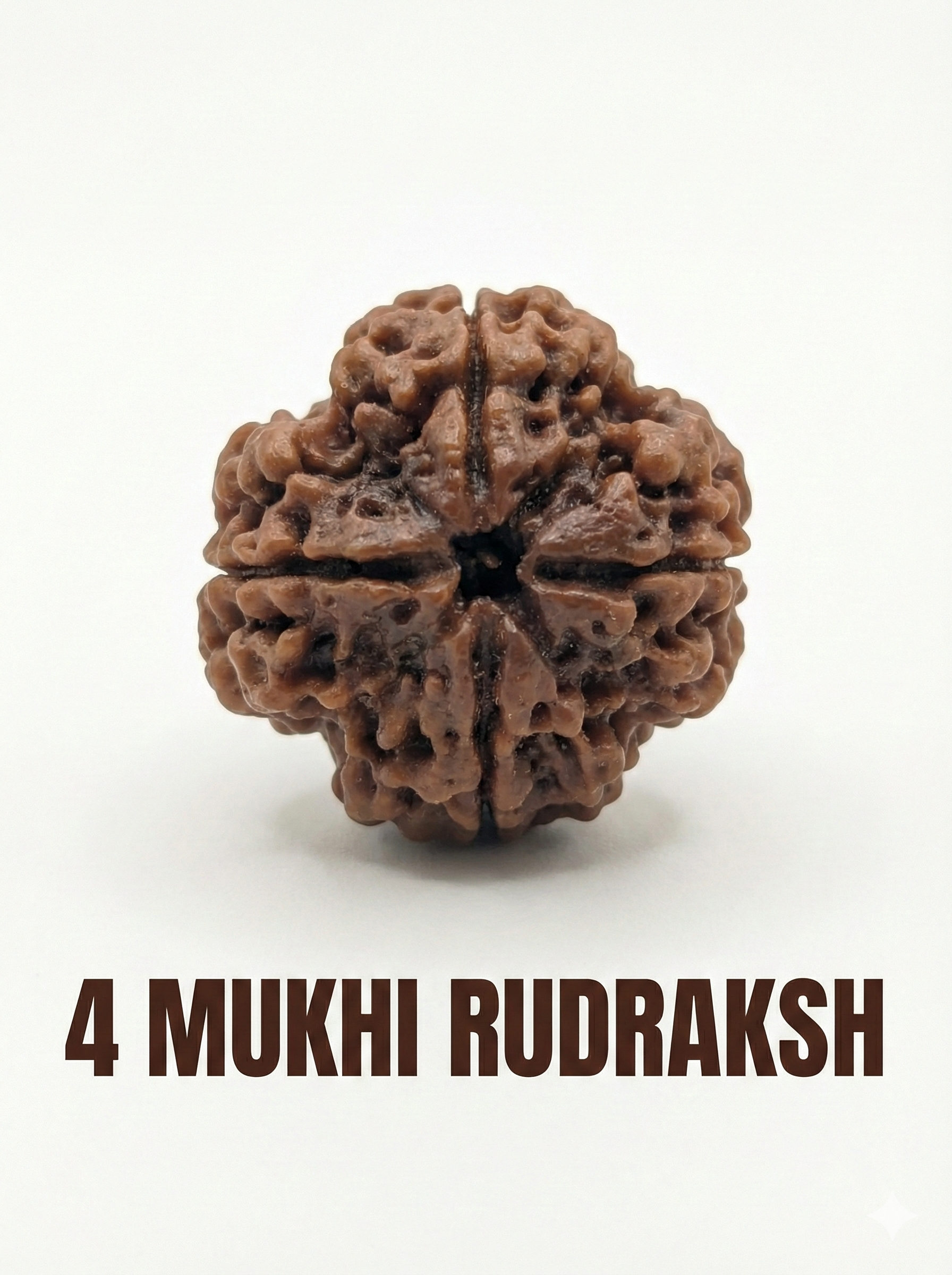 4 Mukhi Rudraksha: Benefits, Significance, Mantra, Wearing Method & Complete Guide