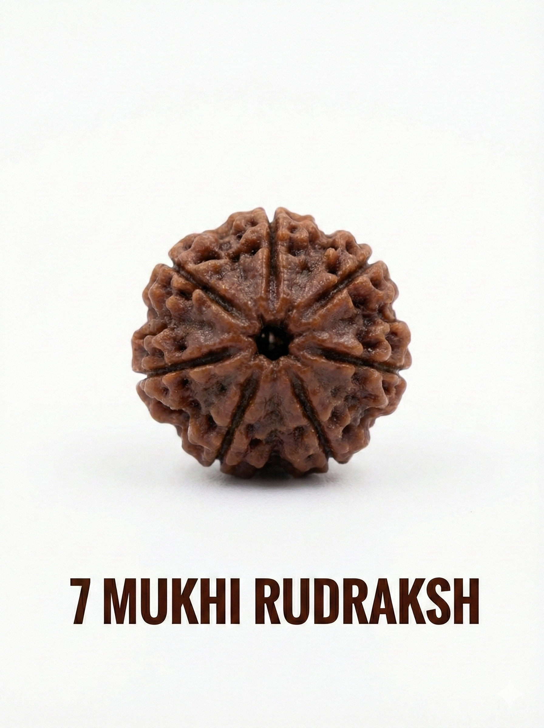 7 Mukhi Rudraksha: Benefits, Significance, Mantra, Wearing Method & Complete Guide