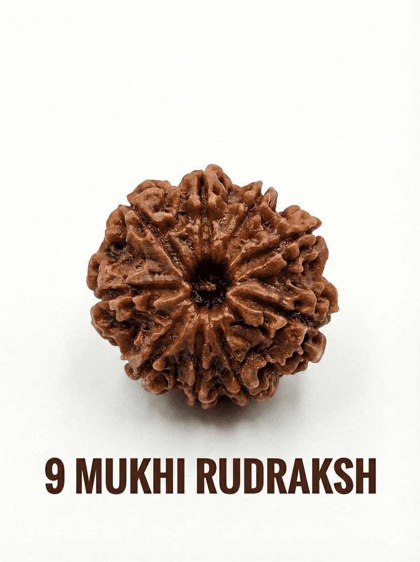 9 Mukhi Rudraksha: Meaning, Benefits, Significance &amp; How to Wear